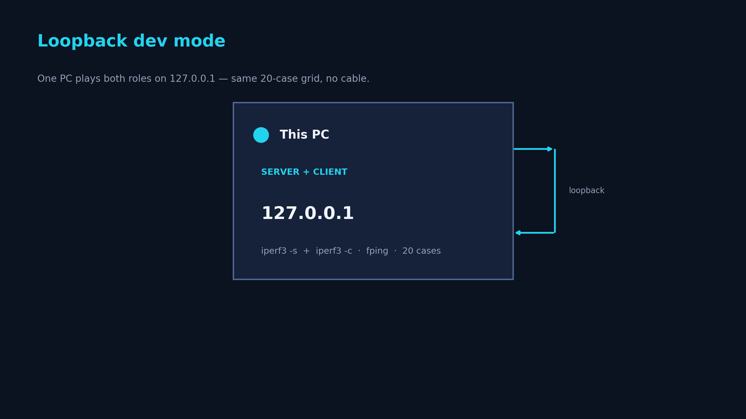 Loopback mode runs both Server and Client roles on 127.0.0.1 on a single PC.